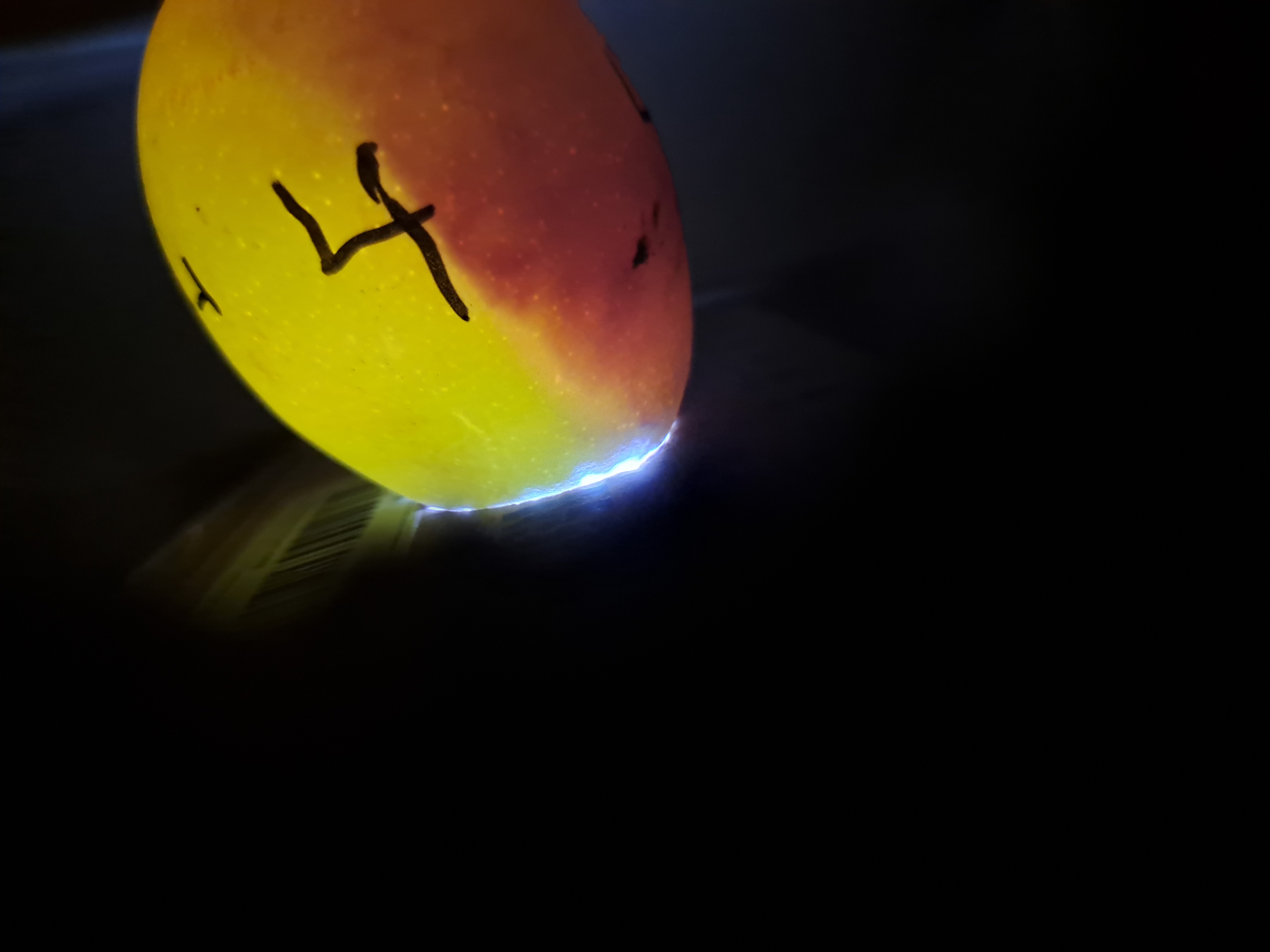 Imagen del ciclo 1.1