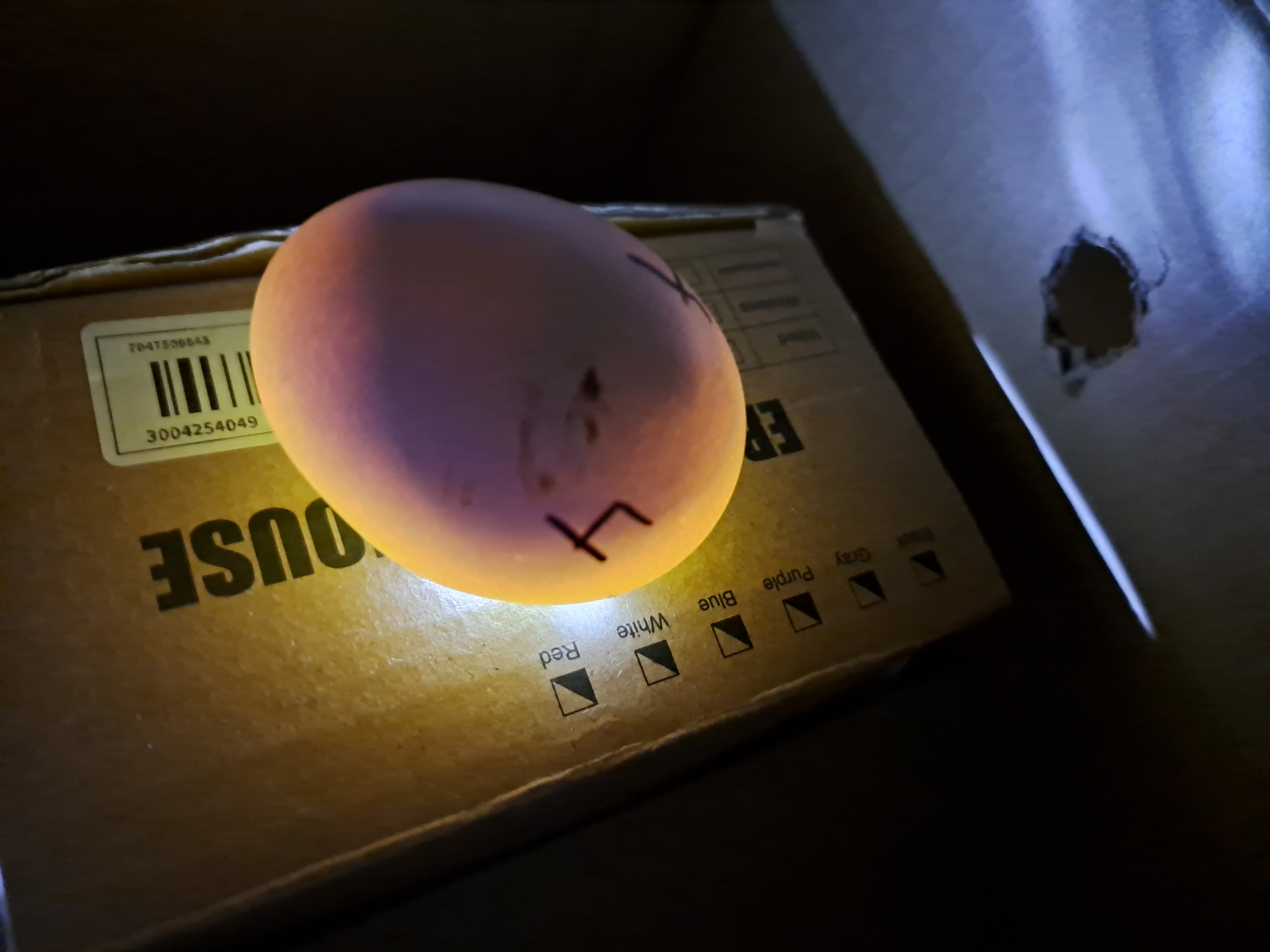 Imagen del ciclo 1.2