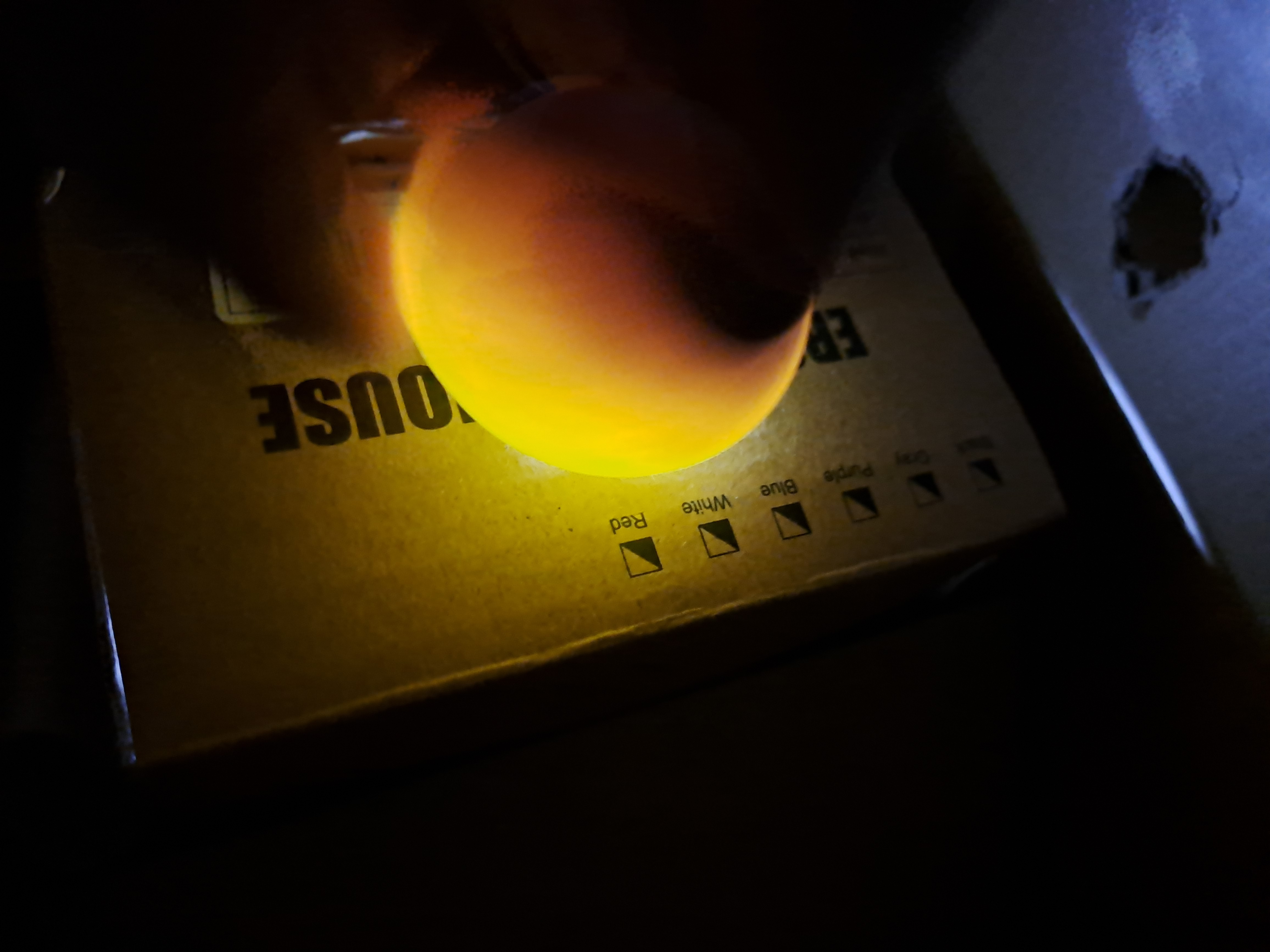 Imagen del ciclo 1.2