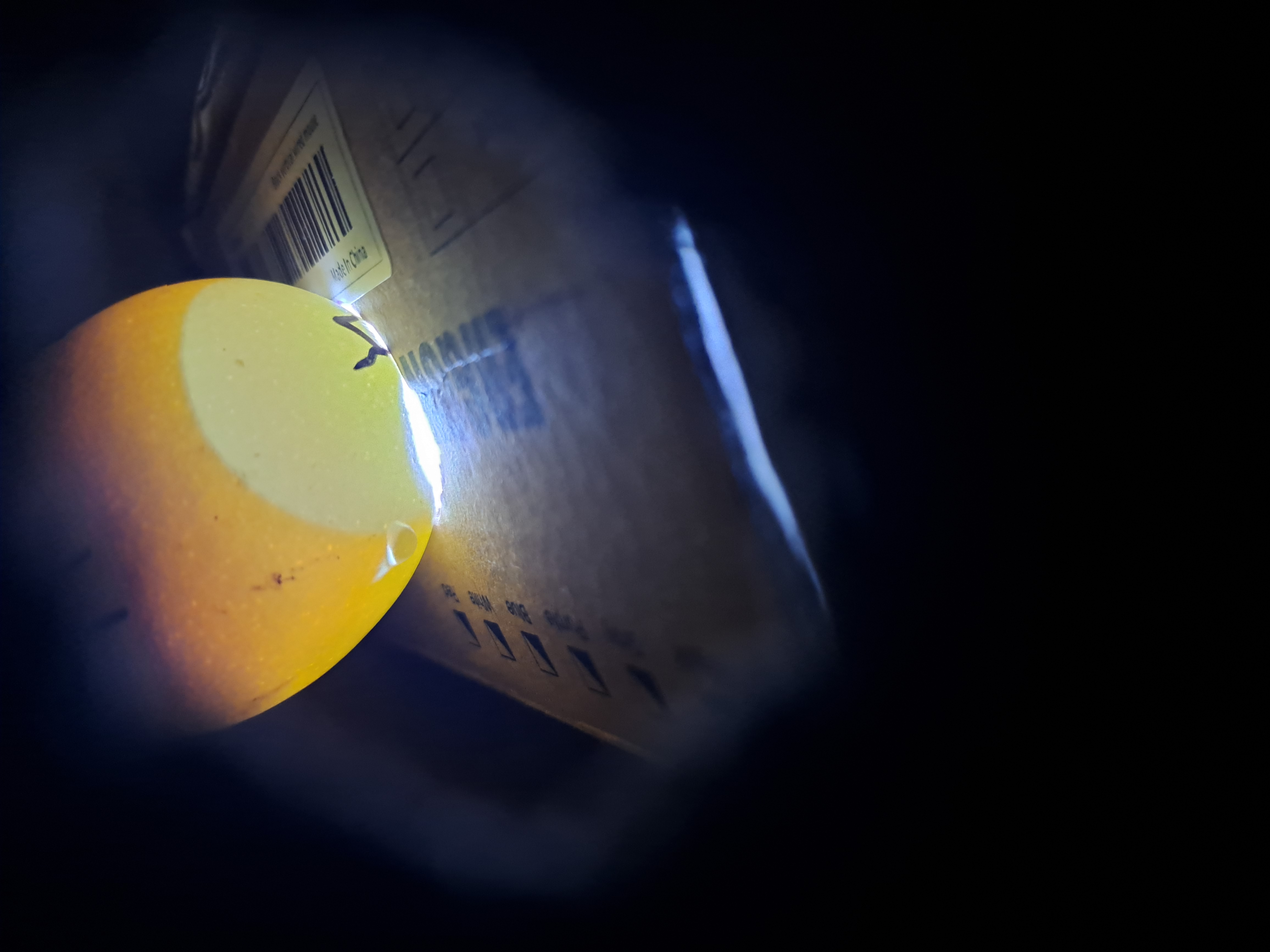 Imagen del ciclo 1.2