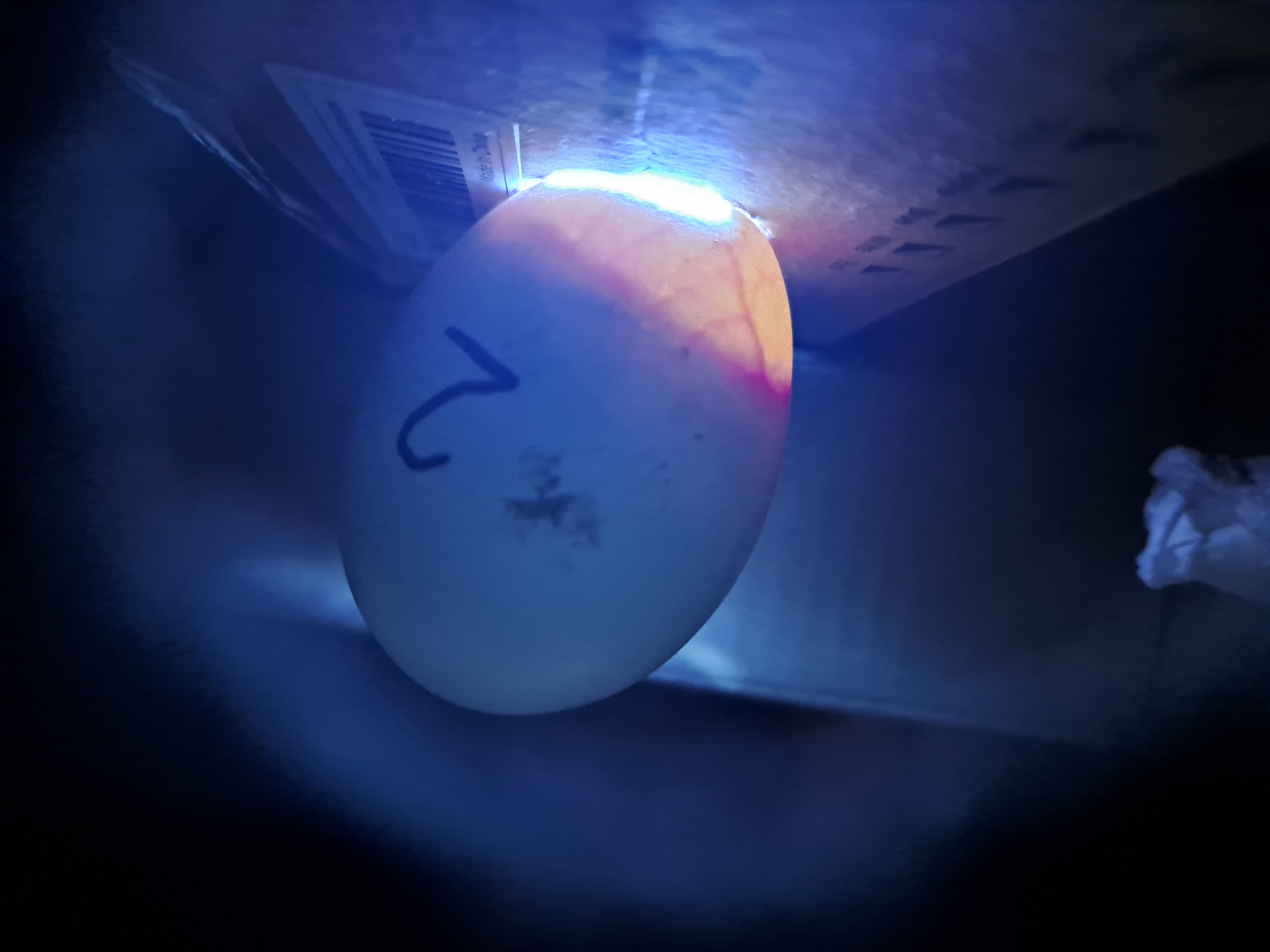 Imagen del ciclo 1.2